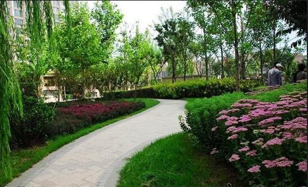 安庆市企业名录 安徽香杨林业 产品供应 > 绿化工程环保工程0